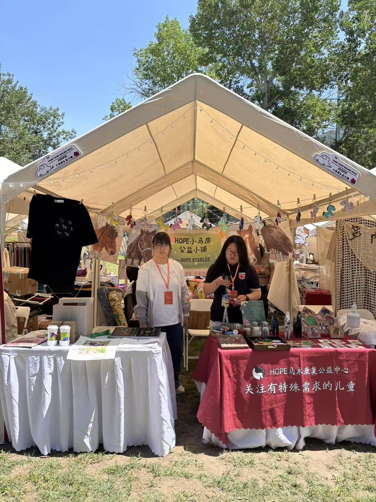 HOPE stables booth at the fair